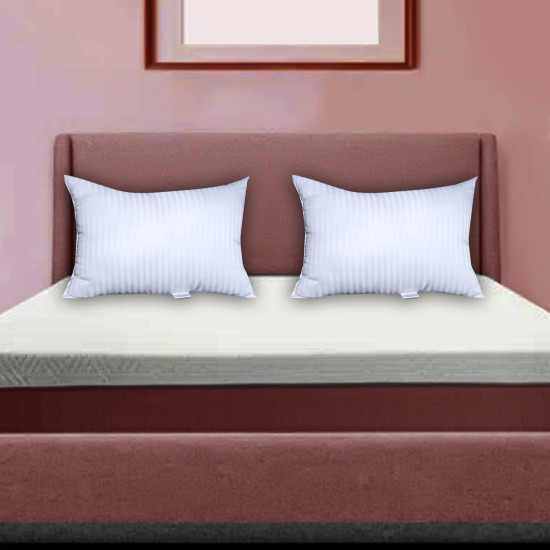 16x24 Pillow Set of 2