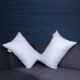 16x24 Pillow Set of 2