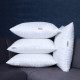 16x24 Pillow Set of 2
