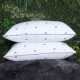 17x27 Printed Pillow Set of 2