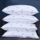 17x27 Printed Pillow Set of 2