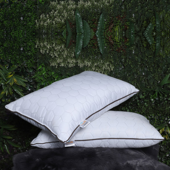 17x27 Quilted Pillow Set of 2