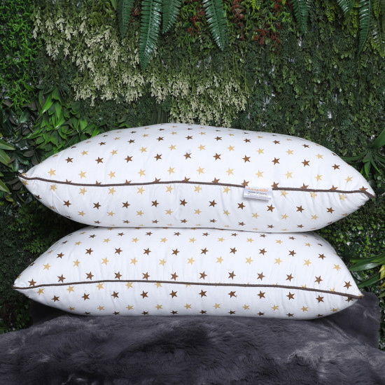 17x27 Pillow Set of 2