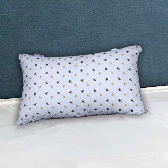 17x27 Pillow Set of 2