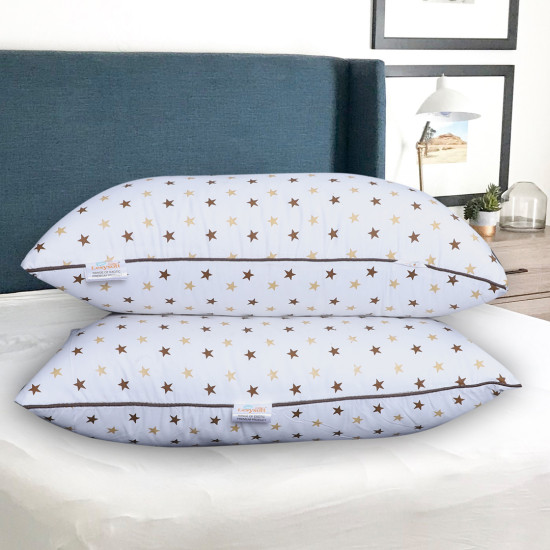 17x27 Pillow Set of 2