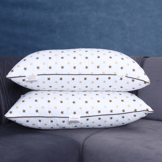 17x27 Pillow Set of 2